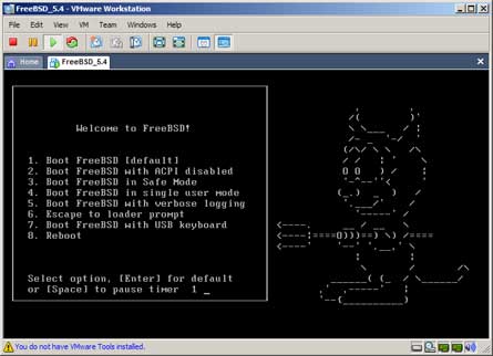 FreeBSD running inside VMware