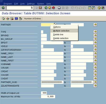 SAP data browser multiple selection