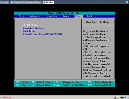 VMware BIOS setup